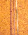 P1000275.jpg