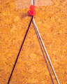 P1000277.jpg