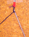 P1000280.jpg